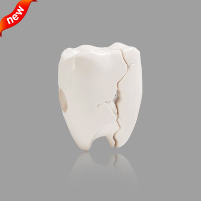 Cracked Tooth Shape AirPods Case